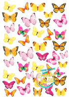 Leptirići-jestive-slike